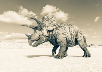 Photo sur Plexiglas Dinosaures triceratops is walking