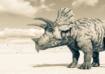 Fototapeta premium triceratops side close up view