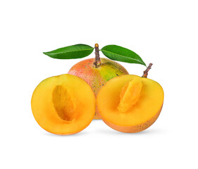 Mango R2E2  isolated on white background