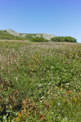 Fototapeta na wymiar Landscape of Vitosha Mountain near Aleko hut, Bulgaria