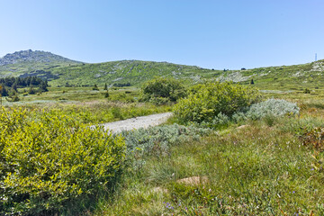 Fototapeta na wymiar Landscape of Vitosha Mountain near Aleko hut, Bulgaria