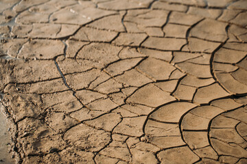 dry cracked earth