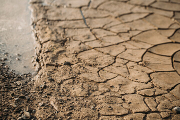 dry soil background