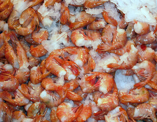 Prawns on ice at a seafood market.