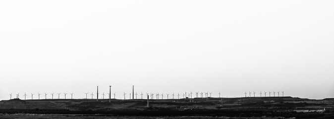 Molinos eólicos a pie de carretera