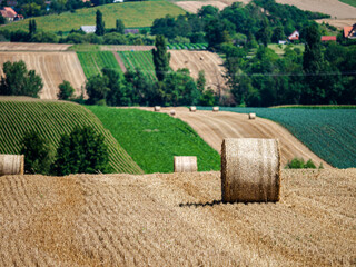 Cylinder-shaped hay bales in the fields of Alsace.
