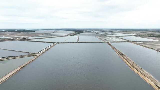 Pools for raising shrimp, shrimp industry in Peru. Aerial view of a commercial prawn farm project