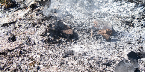 Aerial Drone View Over Burning Dry Grass and Smoke in Field. Flame and Open Fire.