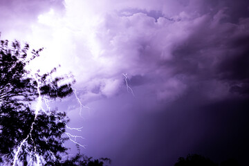 Naklejka premium lightning in the sky 2