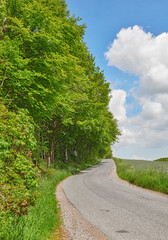 Fototapeta na wymiar Road between trees and a meadow in spring with a cloudy blue sky. Countryside street or avenue winding through a beautiful empty forest green grass land. A scenic nature path for traveling or hiking