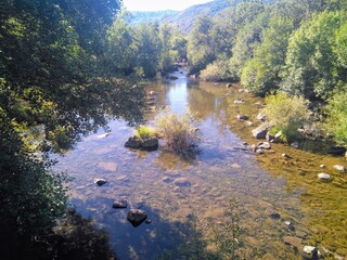 Crystal Clear Water in the Forest