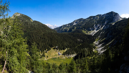 Fototapeta na wymiar Alpine Mountain Valley of Duplje in Julian Alps Slovenia