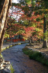 上賀茂神社境内の秋景色