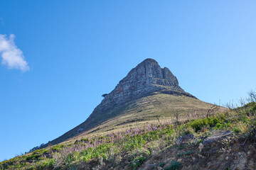 Fototapeta na wymiar Landscape of a mountain against a clear blue sky with copy space. Mountain peak with lush green pasture and flowers thriving in a natural environment. Popular tourism location in South Africa