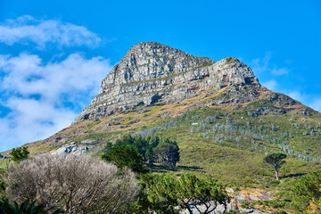 Copy space with scenic landscape view of Lions Head mountain in Cape Town, South Africa against a blue sky background. Magnificent panoramic of a famous travel destination with lush trees and plants