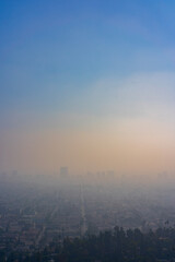 Los Angeles Through the Fog