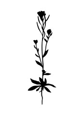 Flower with root. Silhouette black and white