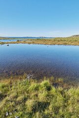 Scenic view of a river flowing through a swamp and leading to the ocean in Norway. Landscape view of blue copy space sky and a marshland. Overflow of water flooding a field after the rainy season