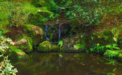 A landscape of the tropical waterfall falls and a small crystal clear pond, peaceful dense tropical rainforest. Serene view of nature, water flowing through small stream in green wood after rainfall