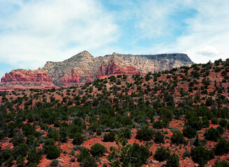 Naklejka premium Sedona Red Rock Country