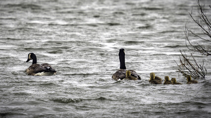 2022-05-11 Brigantine