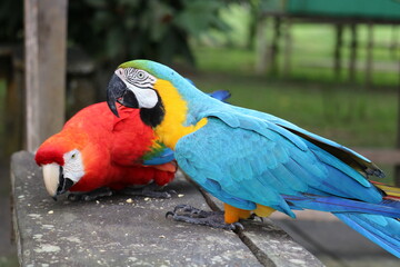 Shanghai Lockdown march 31 2022