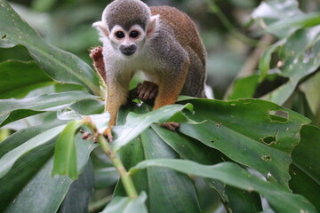 Shanghai Lockdown march 31 2022