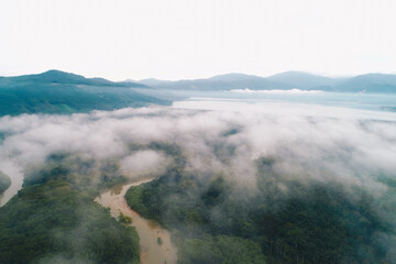 Aerial view canal river in tropical rainforest with morning fog