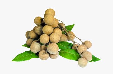 bunch of longan and leaves isolated on white background