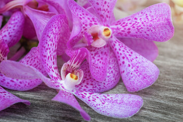 Obraz na płótnie Canvas Orchid flowers on the wooden
