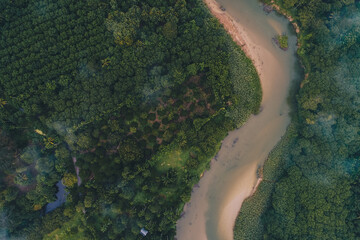 Aerial view canal river in tropical rainforest with morning fog