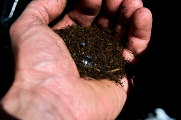 Hand with a simulated diamond pretending to have been found on earth