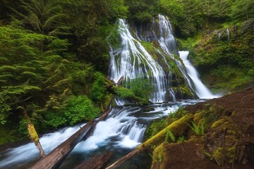 Fototapeta premium Waterfall mountain view close up. Mountain river waterfall landscape. River scene. Forest waterfall view. Waterfall forest mossy rocks. Summer forest stream view.