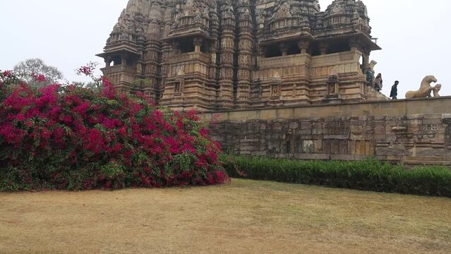 A grand wide-angle view of Khajuraho Temple rises in regal sandstone, framed by vibrant bougainvillea blooms and lush royal gardens, showcasing exquisite architecture, symmetry, and timeless artistic 
