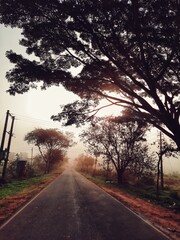 road in the morning