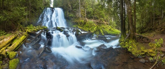 Toketee Falls is a waterfall in Douglas County, Oregon, United States, on the North Umpqua River at its confluence with the Clearwater Rive.r Beautiful falls in forest, West coast USA