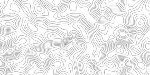 Abstract design with black and white abstract background . Topography map concept. 3d rendering . Creative and similar design with white and black tone paper cut wave curve with blank space design 