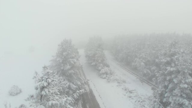 Drone video of snow covered dirt road and Pine tree forest near Edith, NSW, Australia