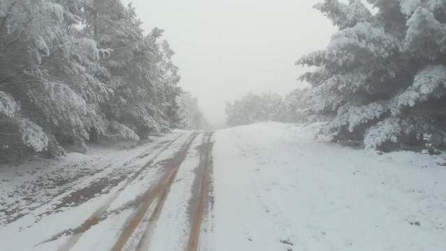 Drone video of snow covered dirt road and Pine tree forest near Edith, NSW, Australia
