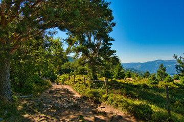 Vogesenlandschaft nahe des Col du Wettstein