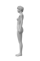 Woman, Human Female Body, 3D Figure