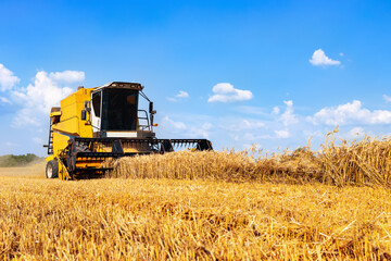 Fototapeta na wymiar combine harvester working in golden wheat field