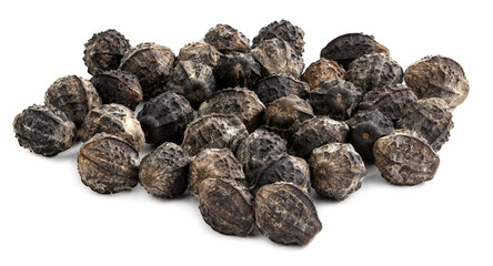 Flower seeds close-up on a white background