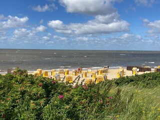Blick auf die Nordsee in Cuxhaven Duhnen mit Strandkörben