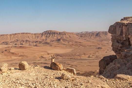 D&eacute;sert du Neguev vu depuis Mitzp&eacute; Ramon