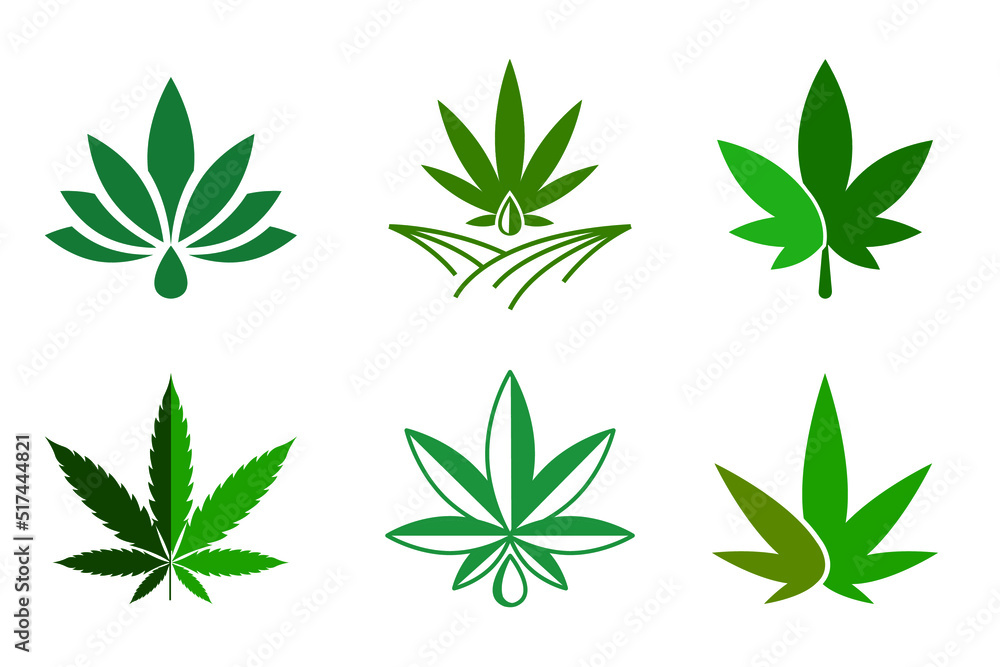 Poster cannabis leaves icons vector illustration 