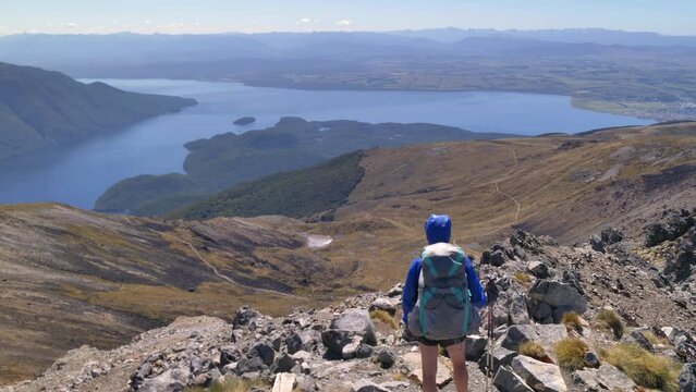 Static, hiker ontop of Mount Luxmore overlooks Lake Te Anau, Keper Track New Zealand