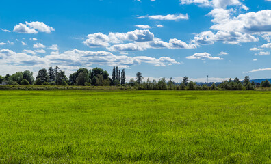 Scenic landscape on the lake with blue sky and clouds. Trees in the background. Summer landscape.
