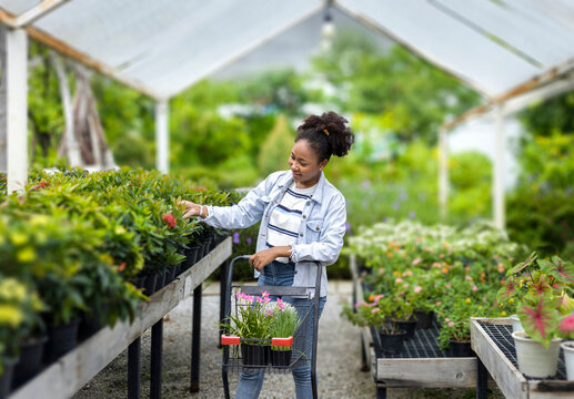 Young African customer is choosing exotic plant from the local garden center nursery with shopping cart full of summer plant for weekend gardening and outdoor pursuit