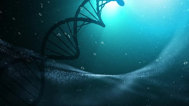 Dna chain with binary numbers animation.